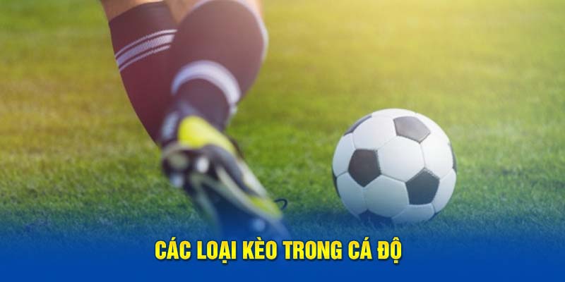 Các loại kèo trong cá độ