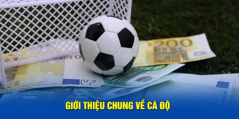 Ảnh: Giới thiệu chung về cá độ