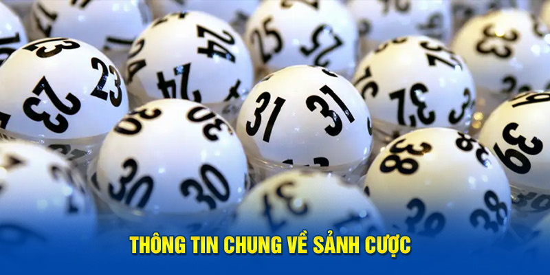 Thông tin chung về sảnh cược