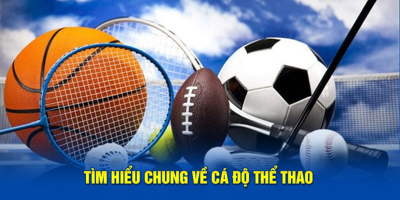 Tìm hiểu chung về cá độ thể thao