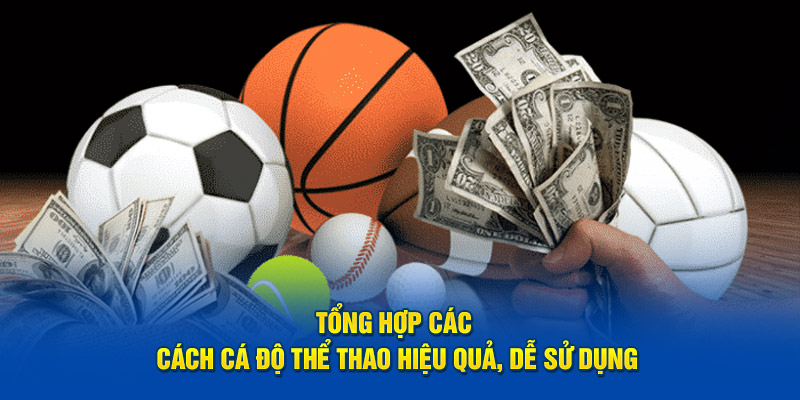 Tổng hợp 4 cách cá độ thể thao đơn giản mà dễ áp dụng